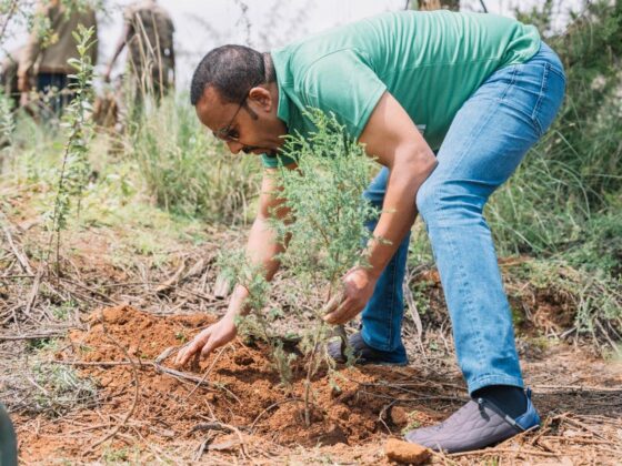 Prime Minister Abiy Ahmed plants a tree during the Green Legacy Initiative, Ethiopia's flagship reforestation programme launched in 2019. (Photo: Office of the Prime Minister of Ethiopia)