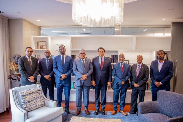 President Irro and Ambassador Danon pose with members of the Somaliland delegation after their meeting in New York on September 23, 2026.