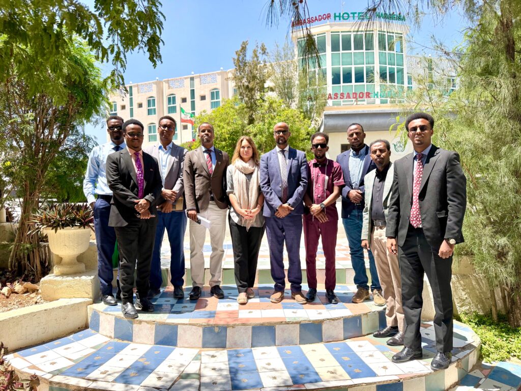 UK Raises Concern Over Somaliland Journalist Arrests